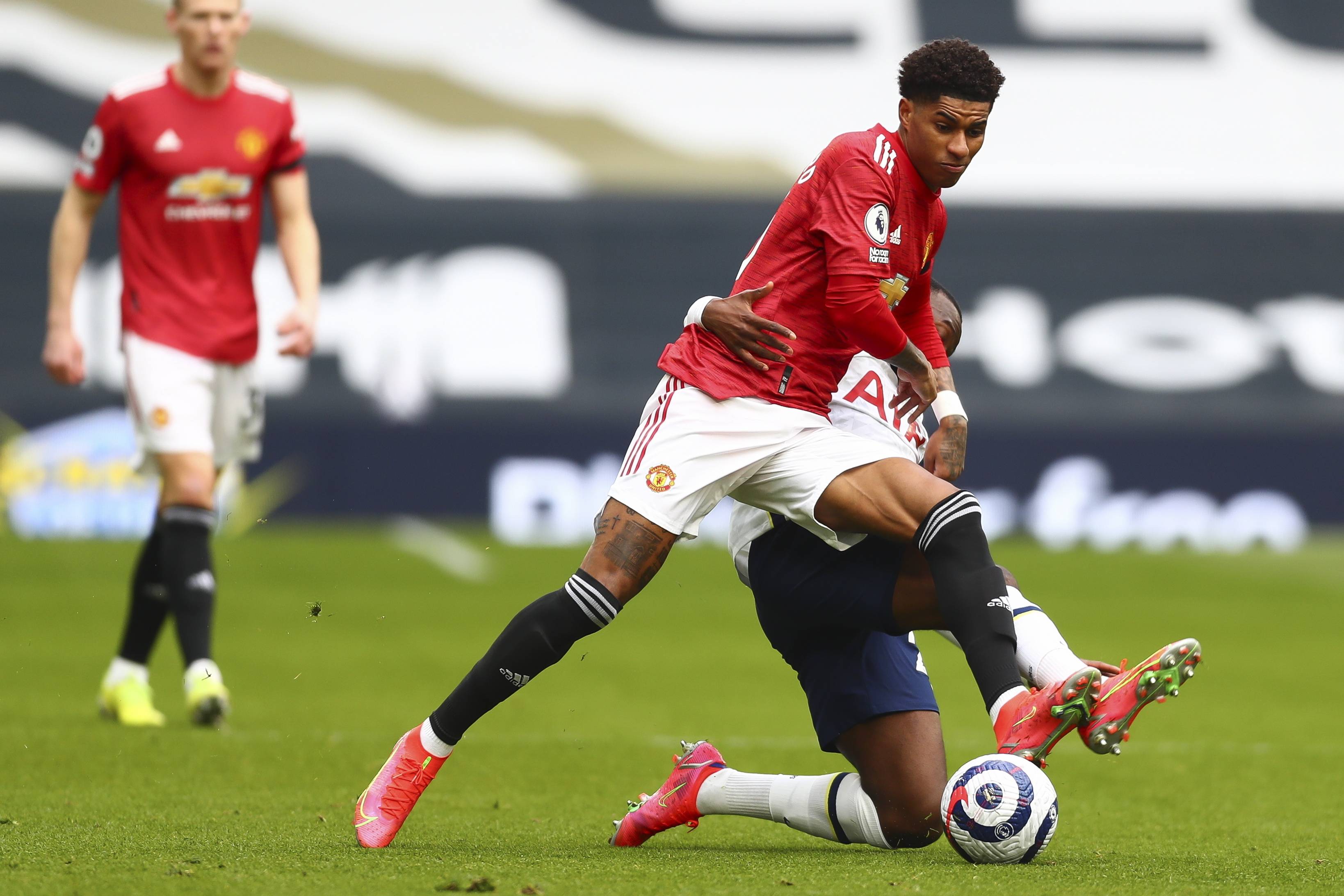 草地質素的 草地質素的