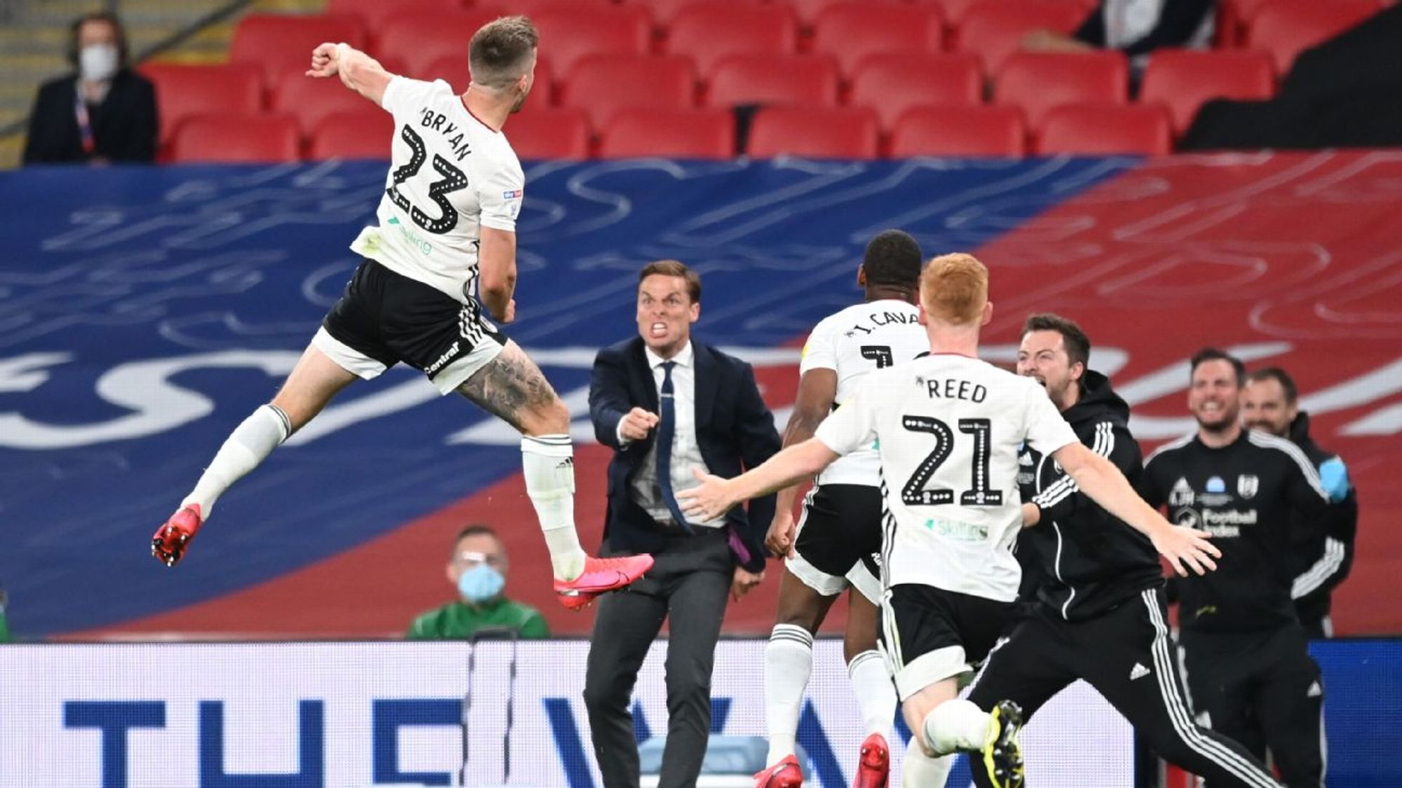 这种观赏性 这种观赏性